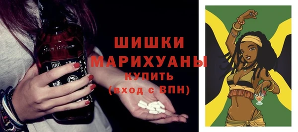 ешки Аркадак