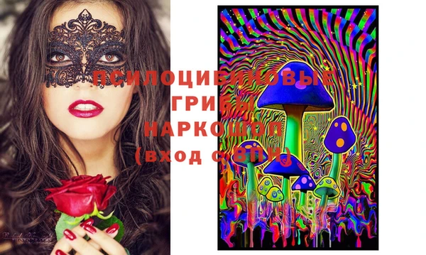 PSILOCYBIN Армянск