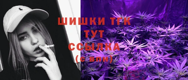 ешки Аркадак