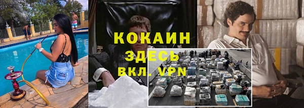PSILOCYBIN Армянск