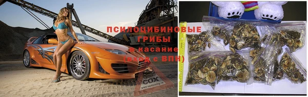 бошки Новозыбков