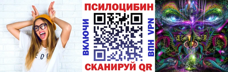 OMG зеркало  закладка  Болгар  Псилоцибиновые грибы мухоморы 