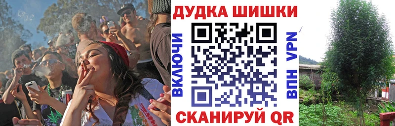 Марихуана индика  как найти наркотики  Болгар 